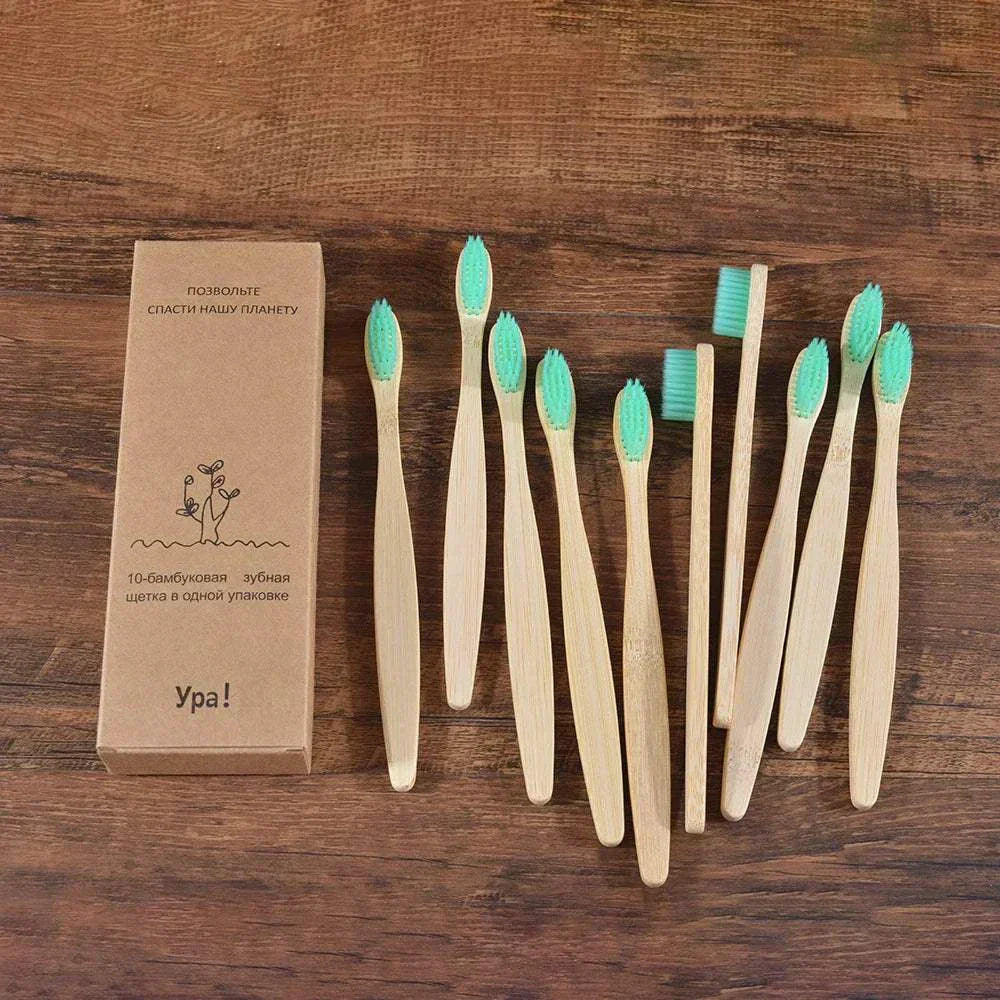 Colorful bamboo toothbrush set with black charcoal bristles and eco-friendly biodegradable handles