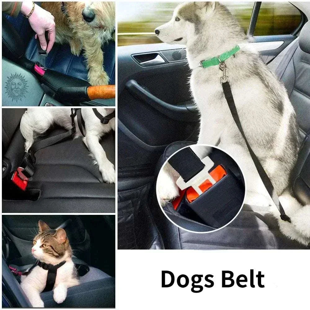 Adjustable pet car seat belt with nylon strap and metal clip for secure, comfortable pet travel safety