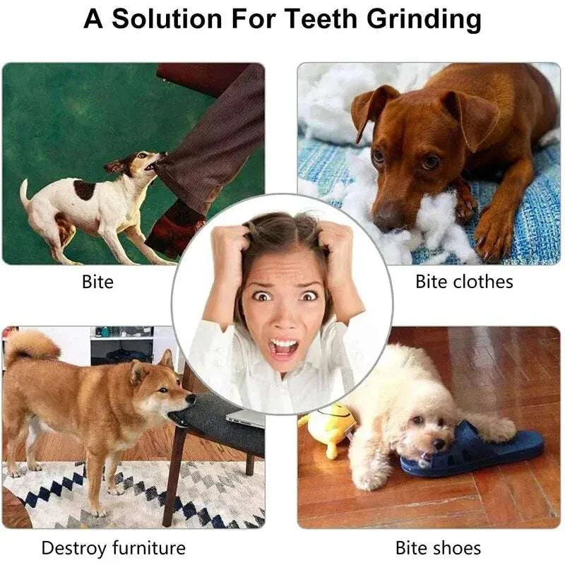 Durable rubber dog toy ball for chewing, teeth cleaning, and treat feeding