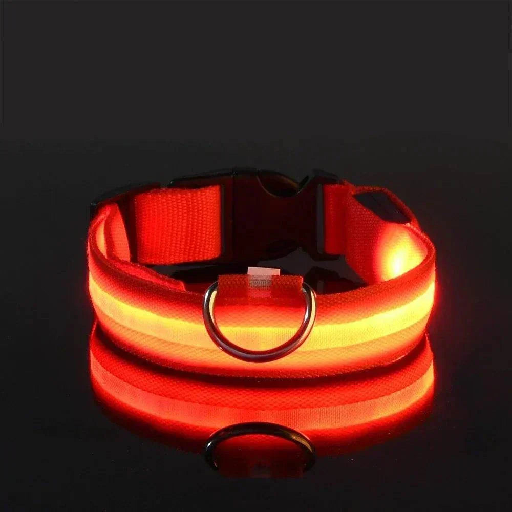 LED glow nylon dog collar for enhanced nighttime visibility and safety Dog Collar Nylon