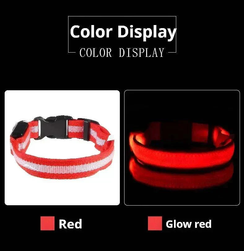 LED glow nylon dog collar for enhanced night safety and visibility Dog Collar Nylon