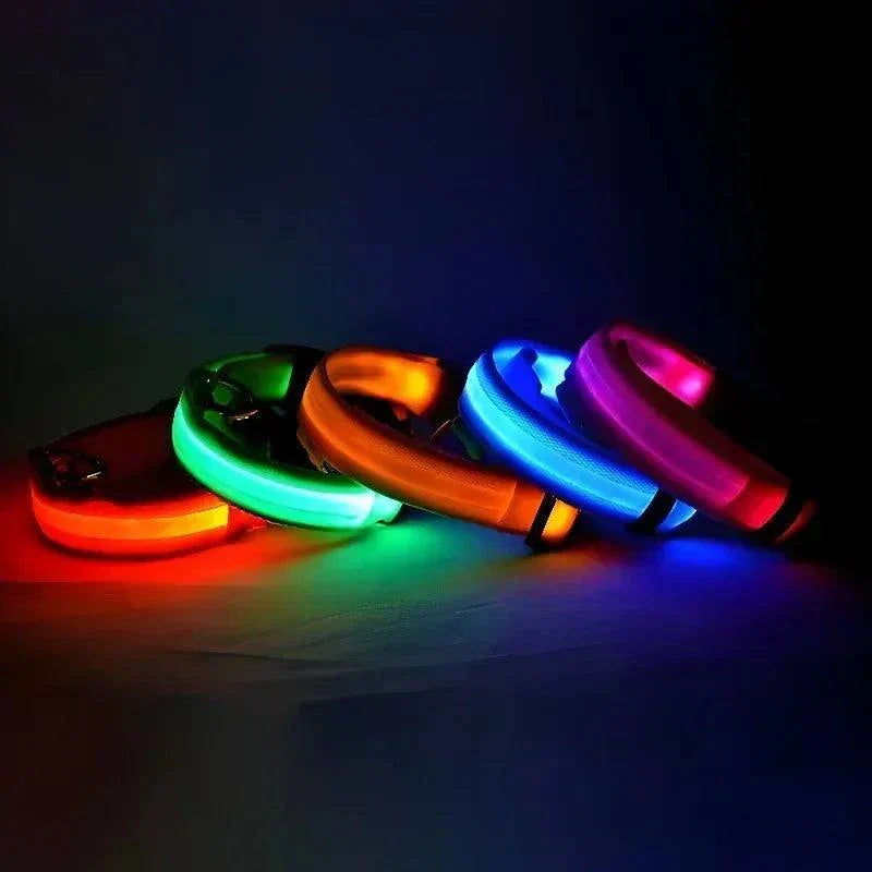 LED glowing nylon dog collar for nighttime safety and visibility Dog Collar Nylon