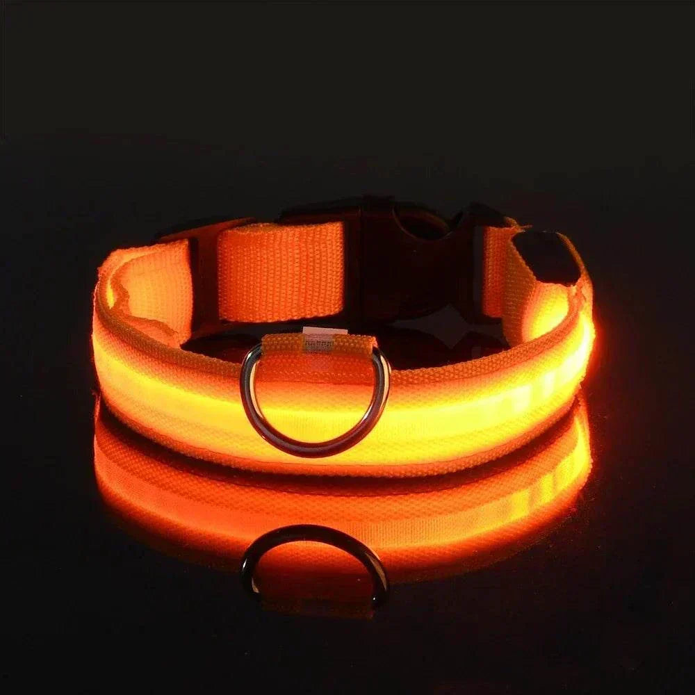 LED glow nylon dog collar for night safety and visibility Dog Collar Nylon