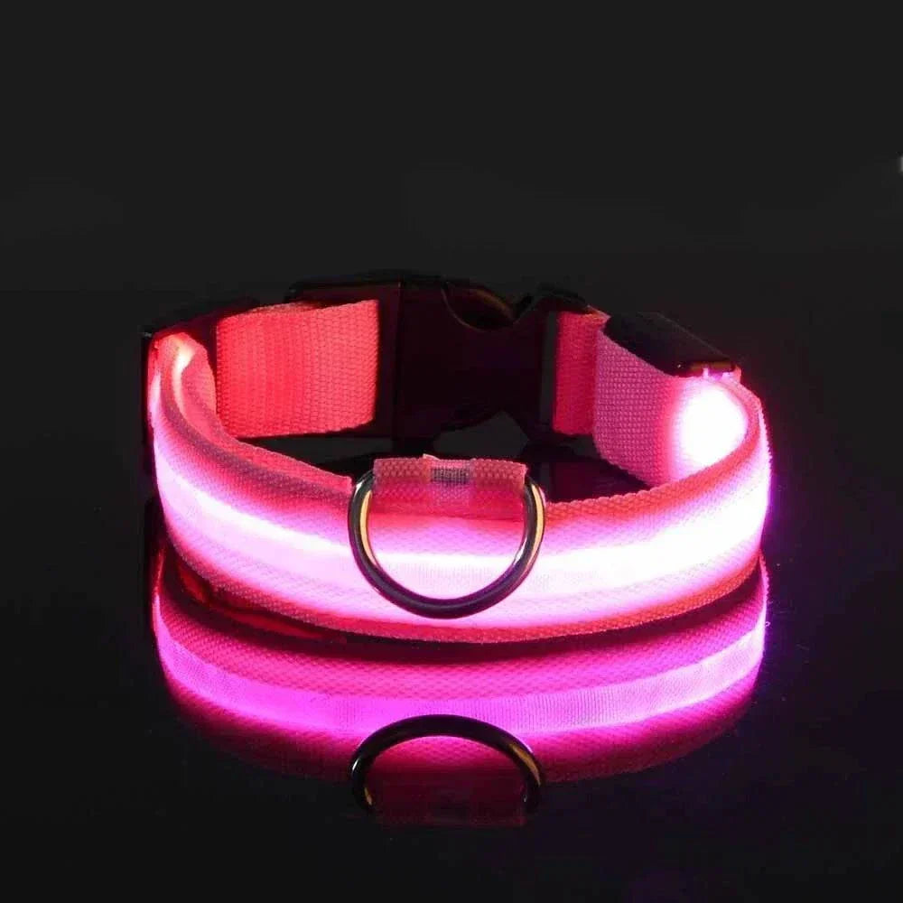 LED glow nylon dog collar for night visibility and safety Dog Collar Nylon