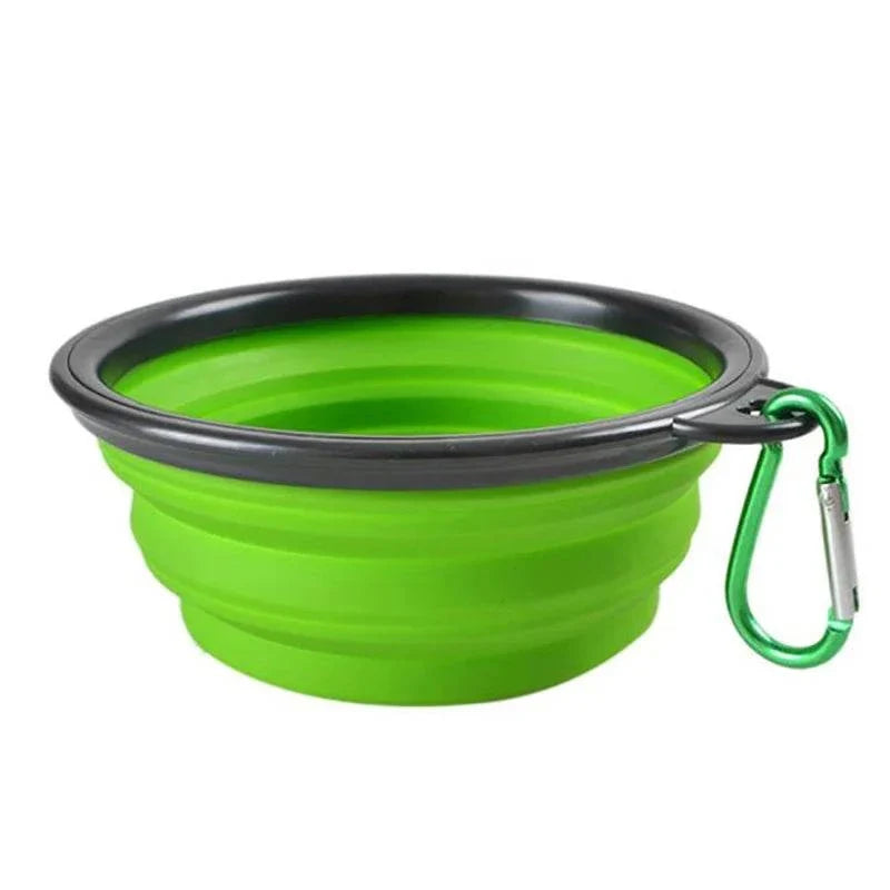 Green collapsible pet dog bowl with carabiner for travel and outdoor use