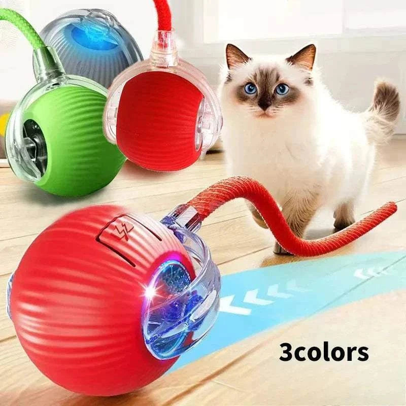 Cat Interactive Ball Toys Cat playing with red rechargeable interactive rolling ball toy with teaser sensor for kittens in three colors