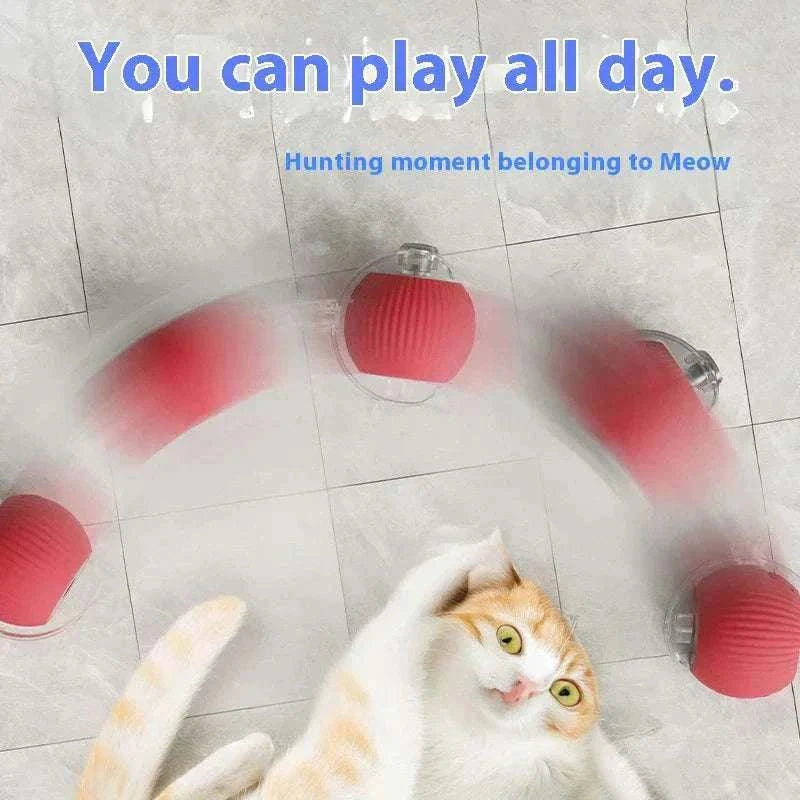 Cat Interactive Ball Toys Cat interactive rolling ball toy in red for kittens with automatic motion and rechargeable battery