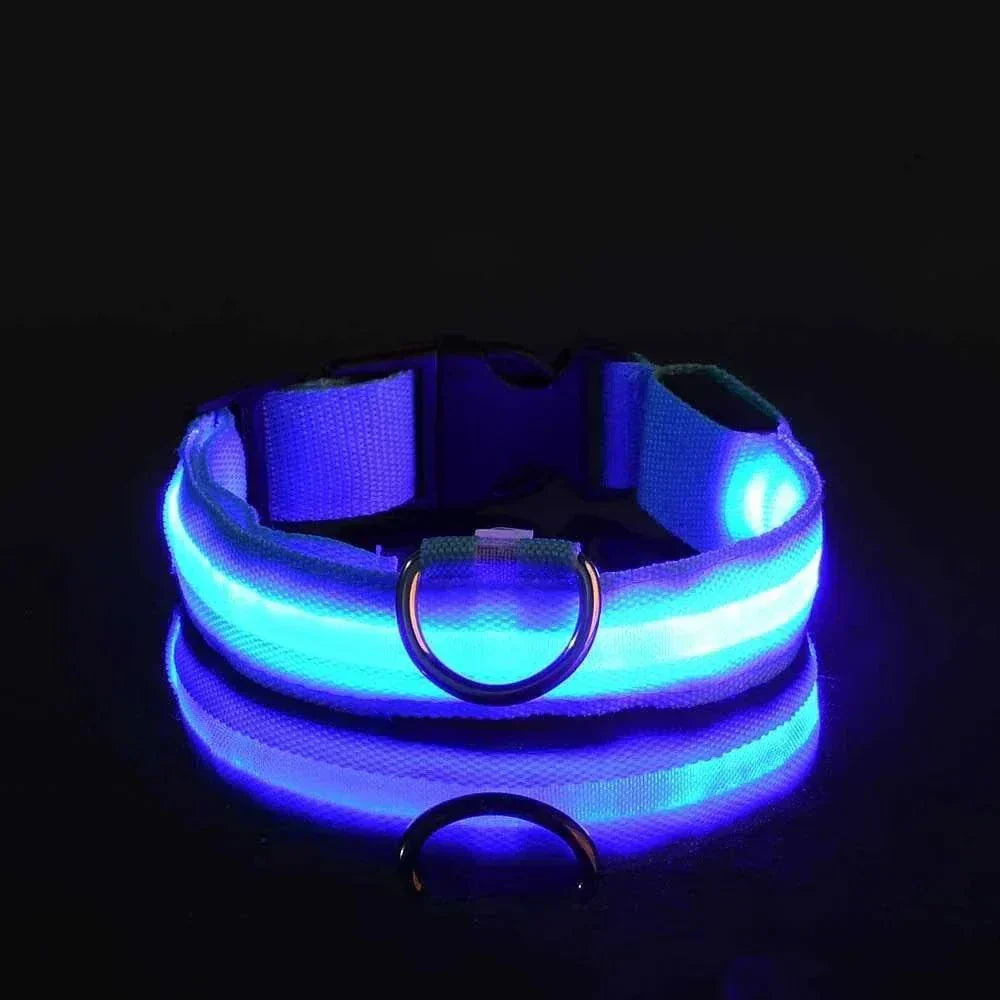 LED glow nylon dog collar for enhanced night visibility and safety Dog Collar Nylon