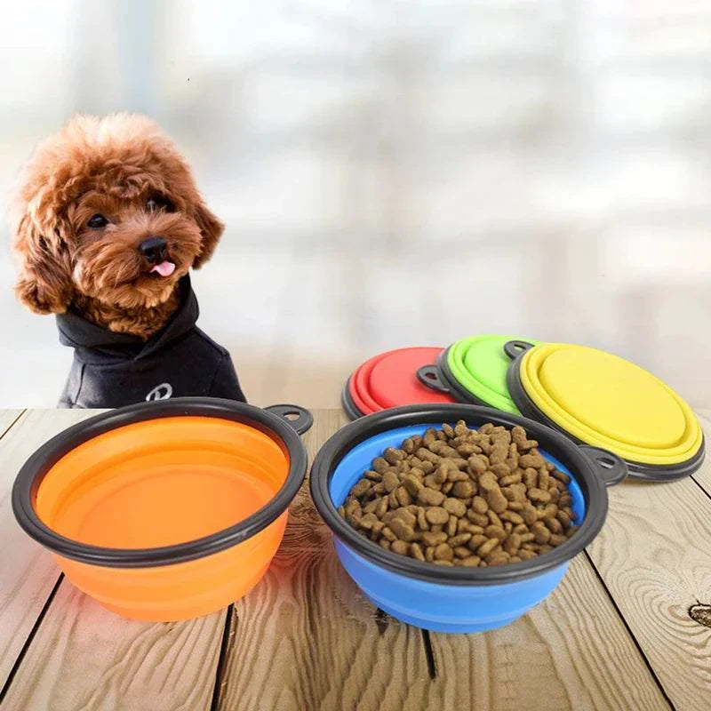 Collapsible portable pet dog bowls in multiple colors with dog food and empty bowl on wooden floor