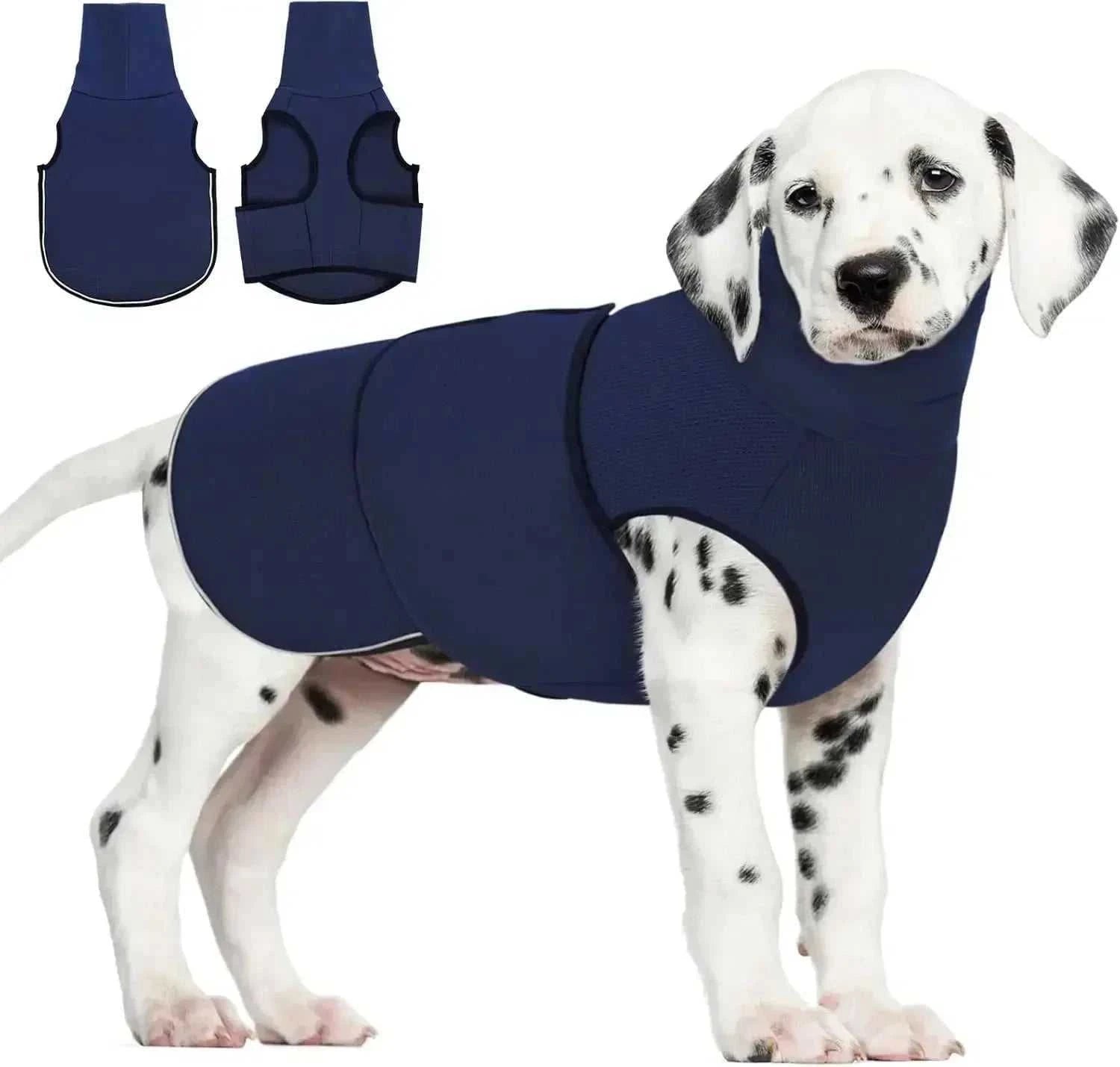 Large navy blue dog anxiety vest with hoodie on Dalmatian puppy, calming jacket for noise and thunder relief
