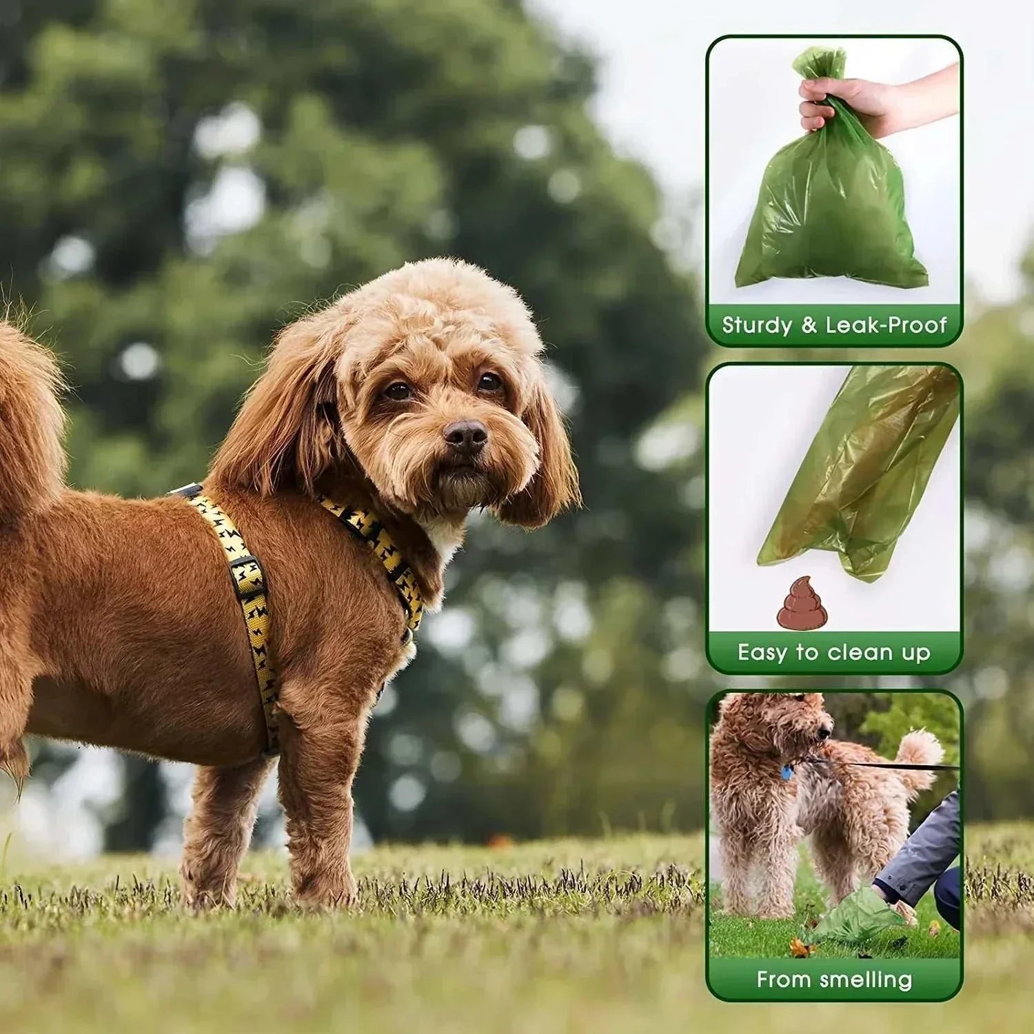 Dog Poop Bags