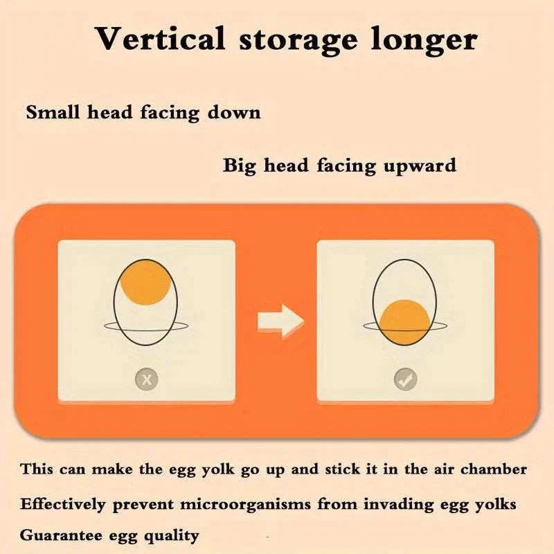Clear double-layer kitchen egg storage box holding 32 eggs with groove slots for secure, space-saving fridge organization
