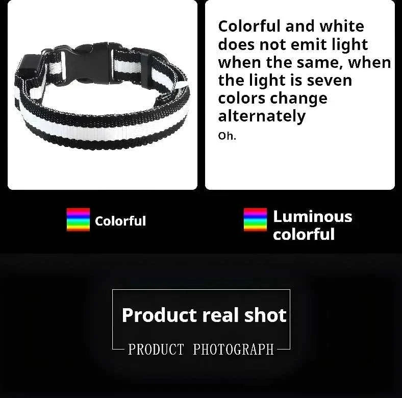 LED glow nylon dog collar for enhanced nighttime visibility and safety Dog Collar Nylon
