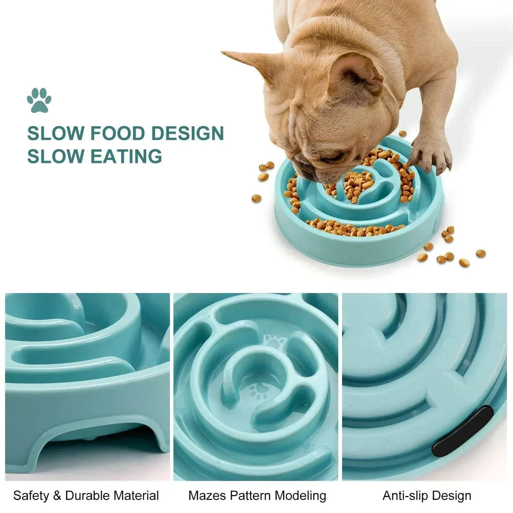 Anti-gulping slow feeder bowl with maze design for dogs and cats