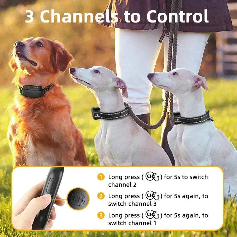 Electric dog training collar with remote control shown on three dogs outdoors for multi-channel training.