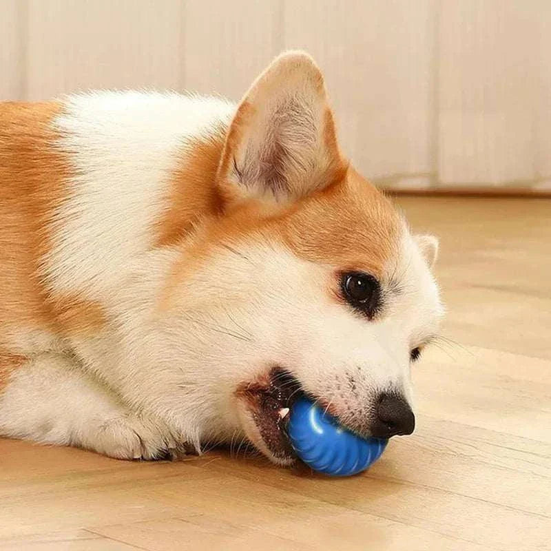 Smart dog toys ball automatic moving interactive pet toy for cats and dogs