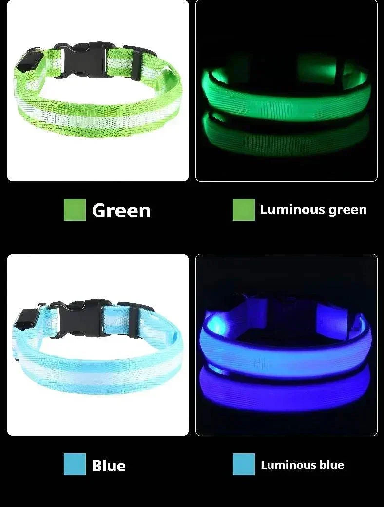 LED glow nylon dog collar with adjustable, durable design for enhanced night visibility