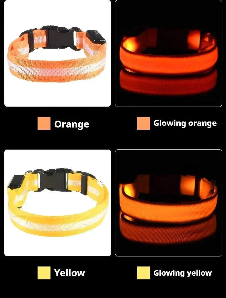 LED glow nylon dog collar for nighttime visibility and safety Dog Collar Nylon