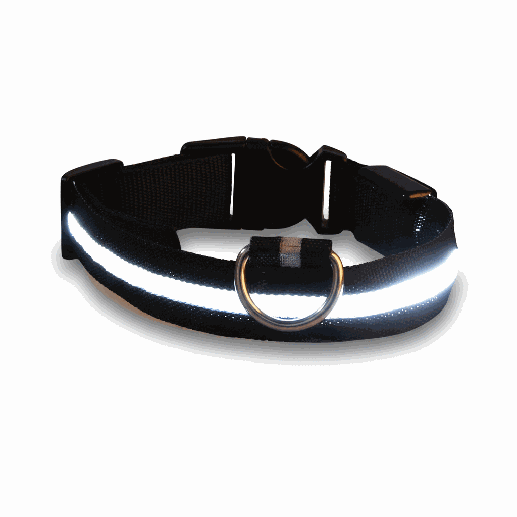 LED glow nylon dog collar for nighttime safety and visibility Dog Collar Nylon