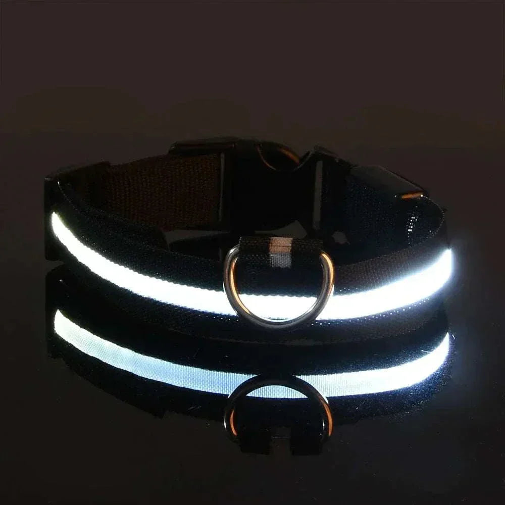 LED glow nylon dog collar for enhanced night visibility and safety Dog Collar Nylon
