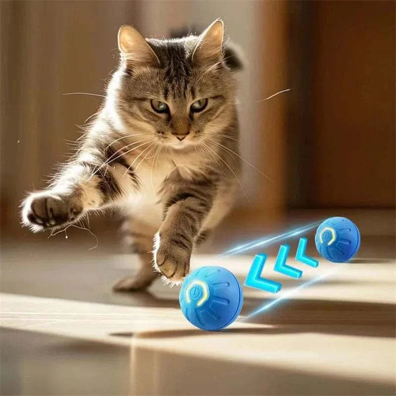 Smart dog toys ball automatic moving pet toy ball for cats and dogs USB rechargeable