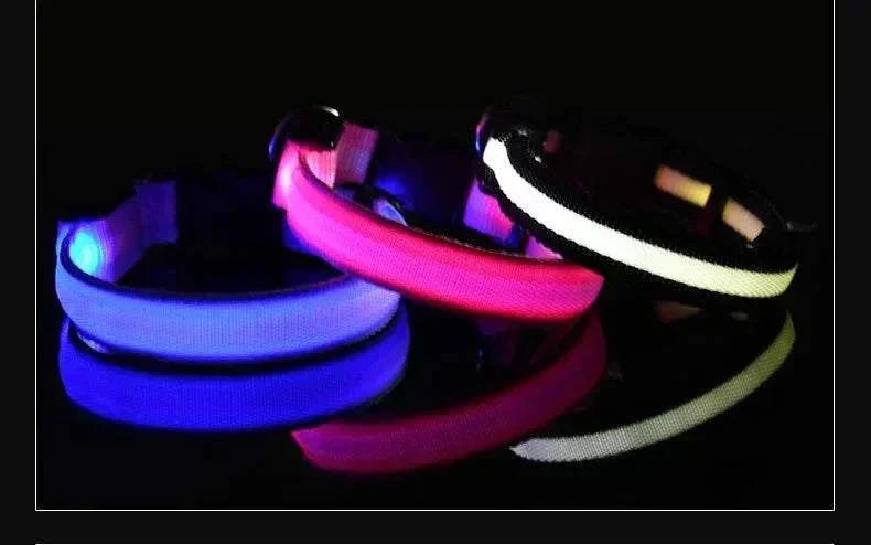LED glow nylon dog collar for enhanced nighttime visibility and safety Dog Collar Nylon