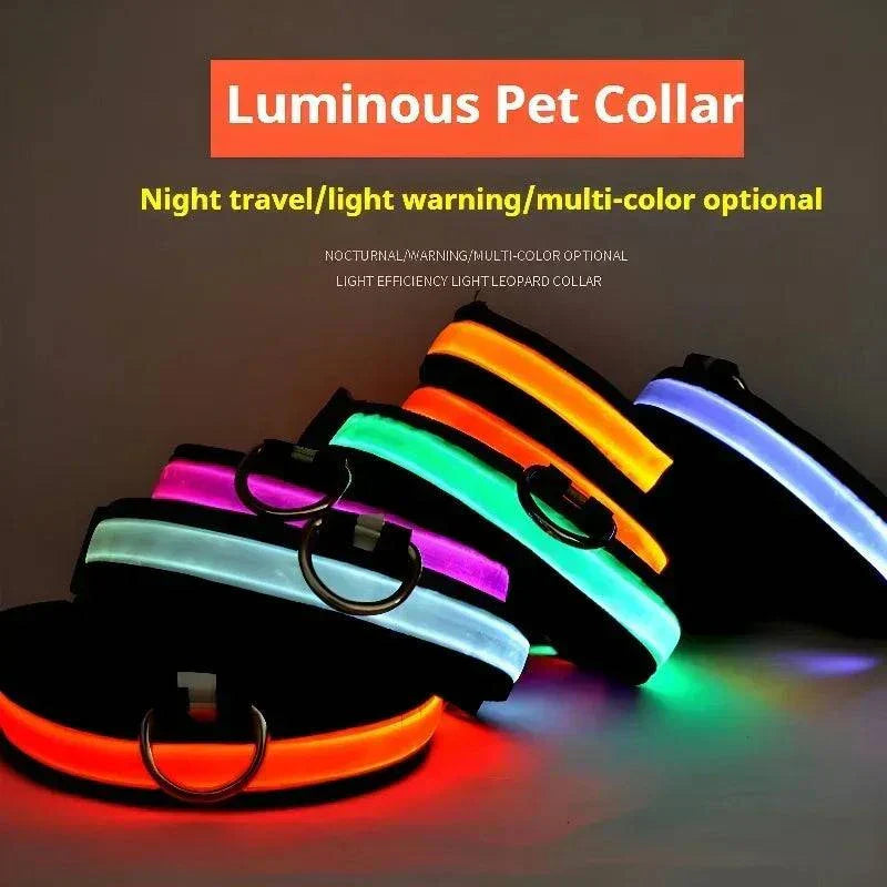 LED glow nylon dog collar for enhanced night visibility and safety Dog Collar Nylon