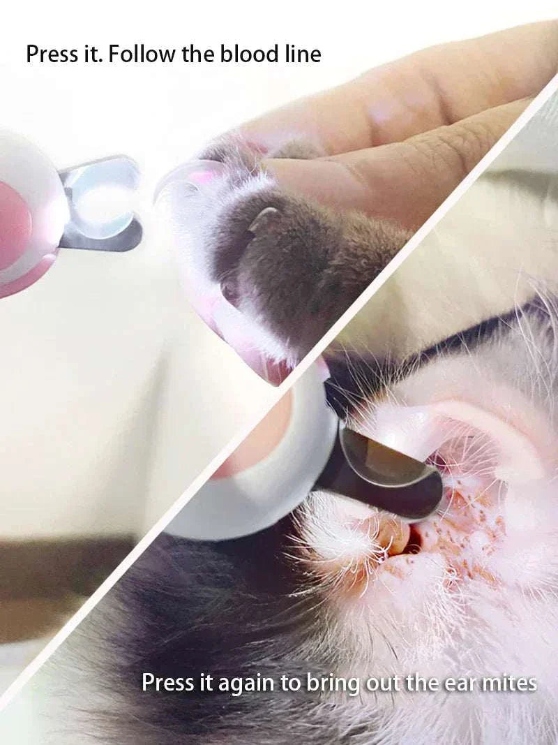 LED light pet nail clipper with safety lock and stainless steel blades for cats and dogs