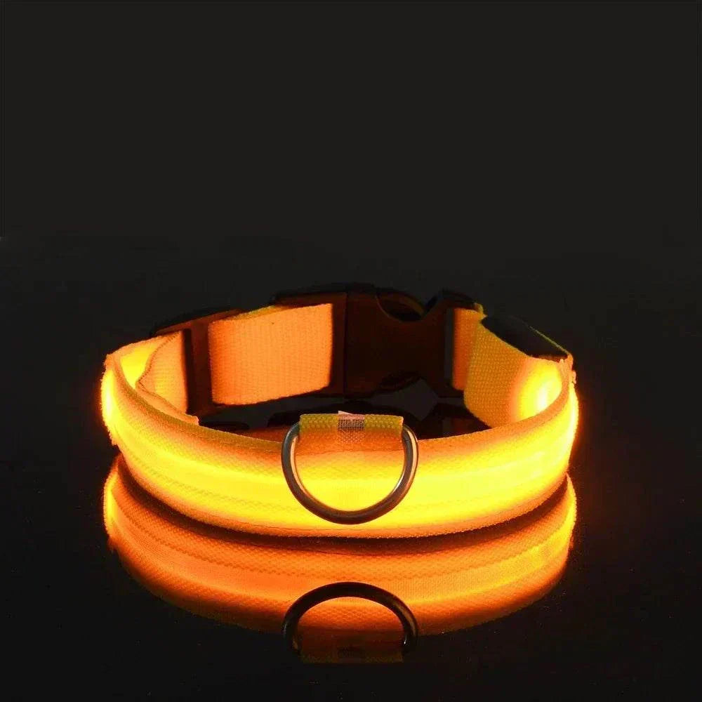 LED glow nylon dog collar for night visibility and safety Dog Collar Nylon