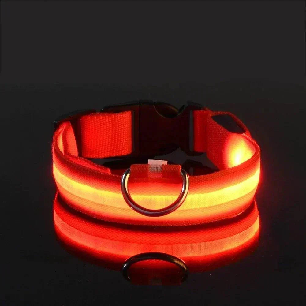 LED glow nylon dog collar with adjustable fit for enhanced nighttime visibility and safety Dog Collar Nylon