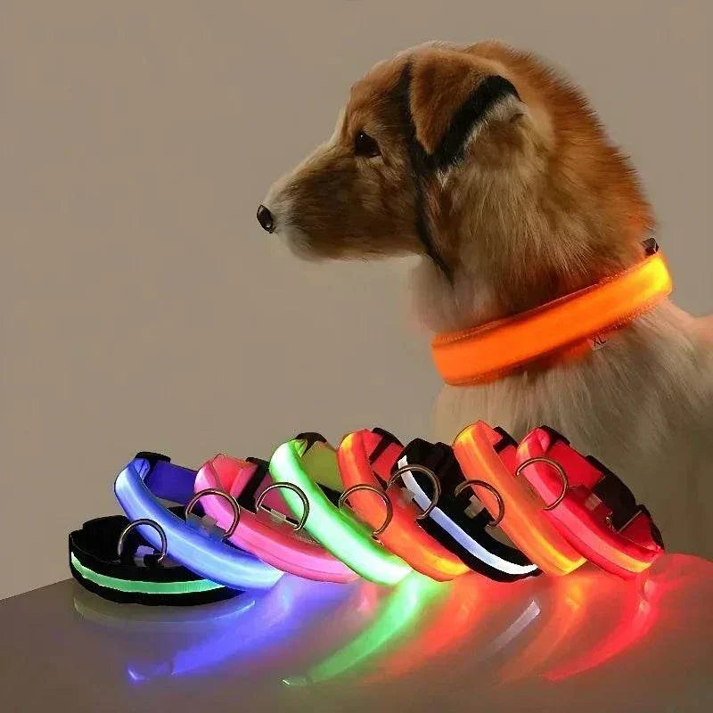 LED glow nylon dog collar for nighttime safety and visibility Dog Collar Nylon