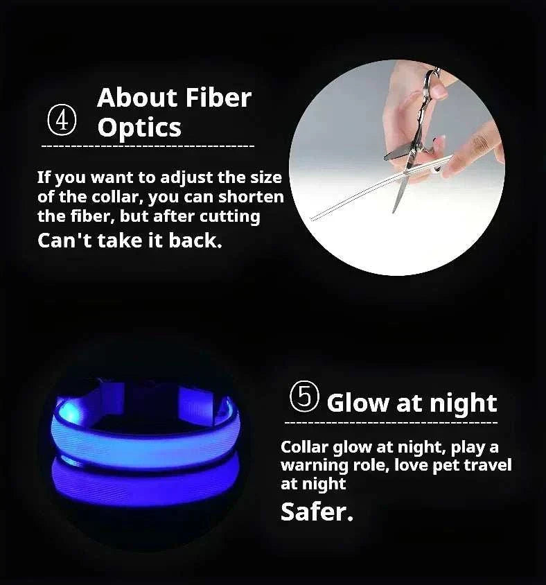 LED glow nylon dog collar for enhanced night visibility and safety Dog Collar Nylon