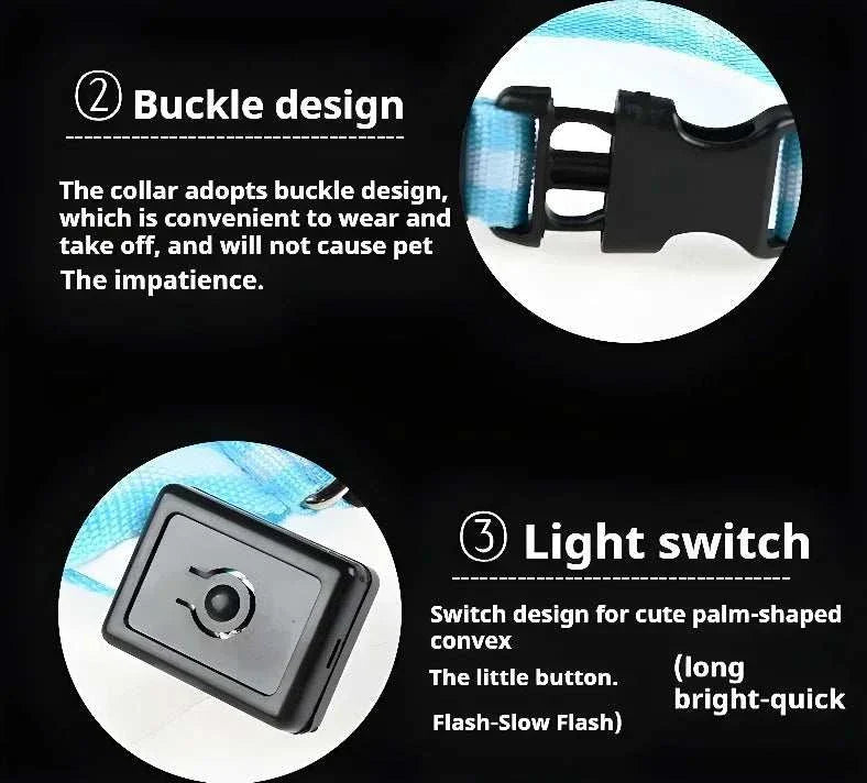LED glow nylon dog collar for enhanced night visibility and safety Dog Collar Nylon