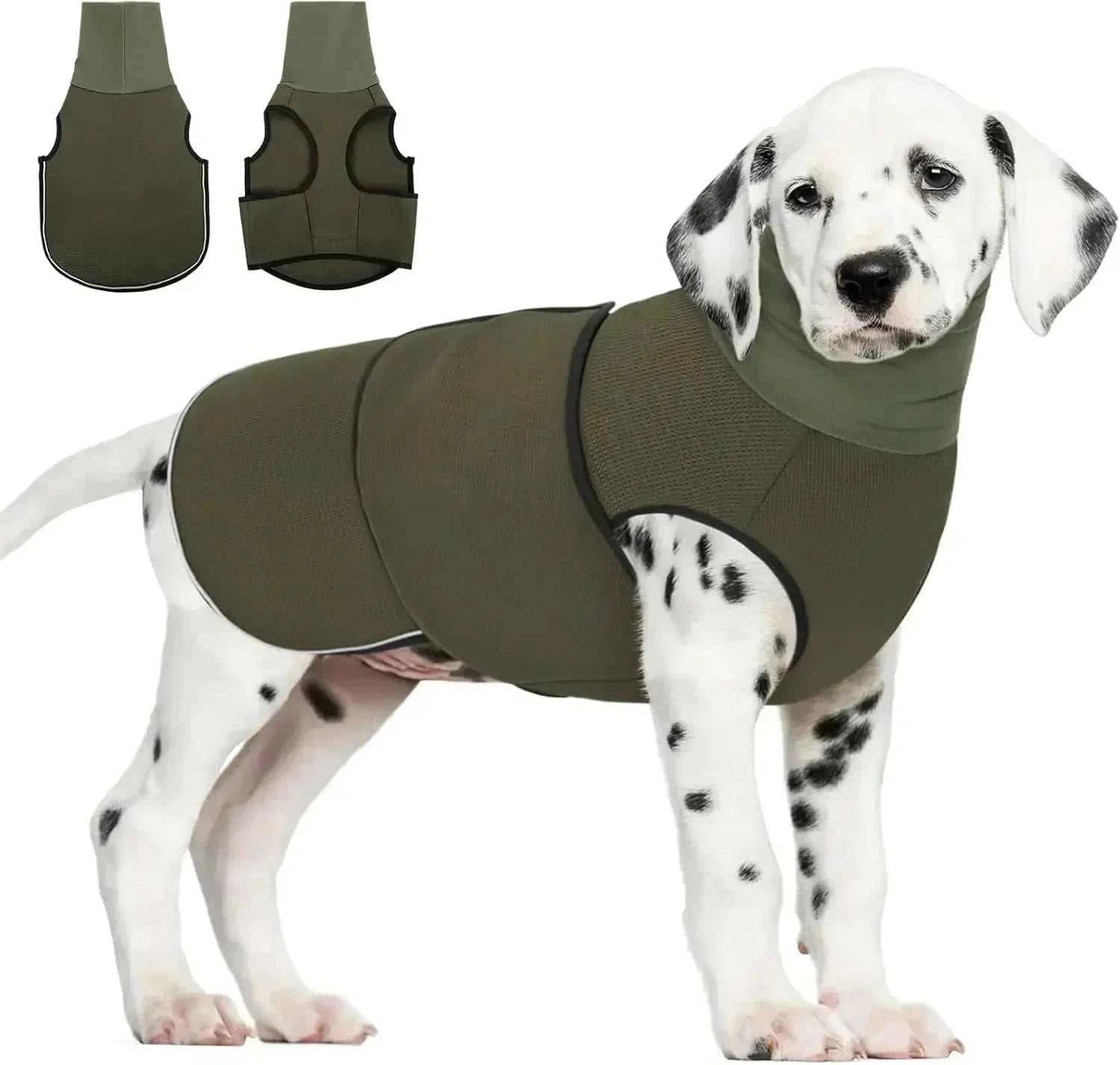 Large dog wearing olive green dog anxiety vest with hoodie for calming and noise protection