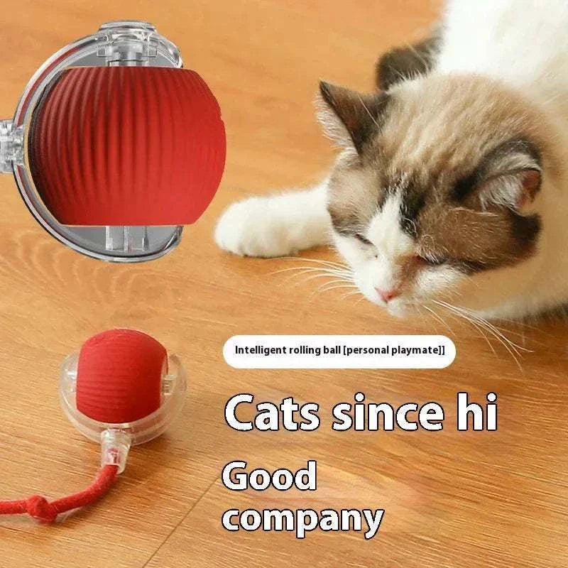 Cat Interactive Ball Toys Rechargeable cat interactive ball toy with sensor for smart kitten play