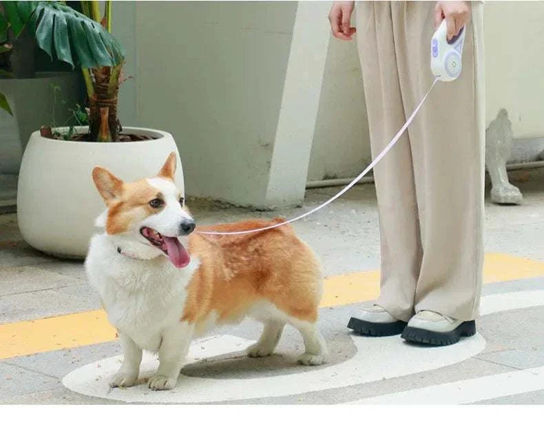LED retractable dog leash with built-in light and ergonomic grip for safe nighttime walking
