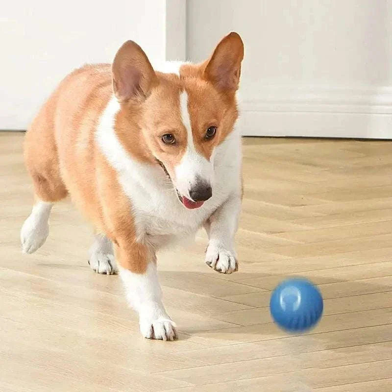 Automatic moving smart dog toys ball in orange and blue, USB rechargeable and durable rubber design