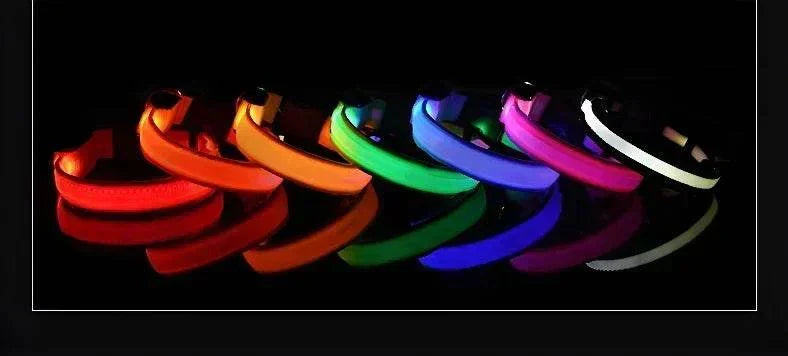 LED glow nylon dog collar with adjustable, durable nylon and bright LED lights for night safety Dog Collar Nylon