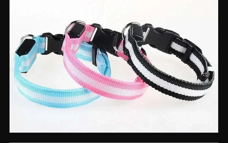 LED glow nylon dog collar with adjustable fit for nighttime safety Dog Collar Nylon
