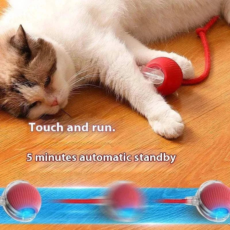Cat Interactive Ball Toys Cat playing with red rechargeable automatic rolling interactive ball toy with teaser sensor on wooden floor