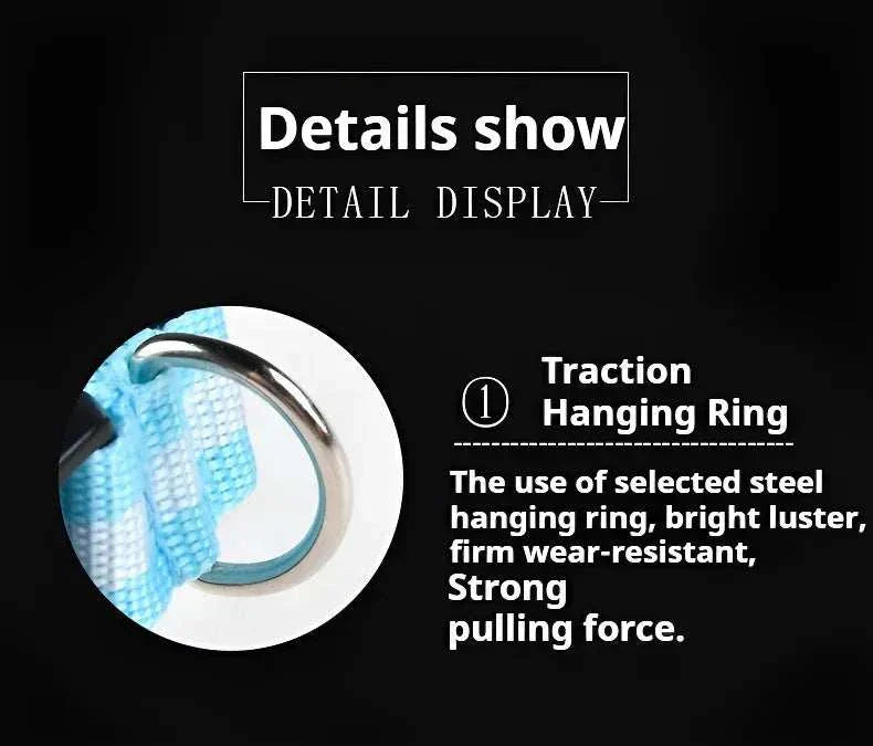 LED glow nylon dog collar with adjustable fit for enhanced nighttime visibility Dog Collar Nylon
