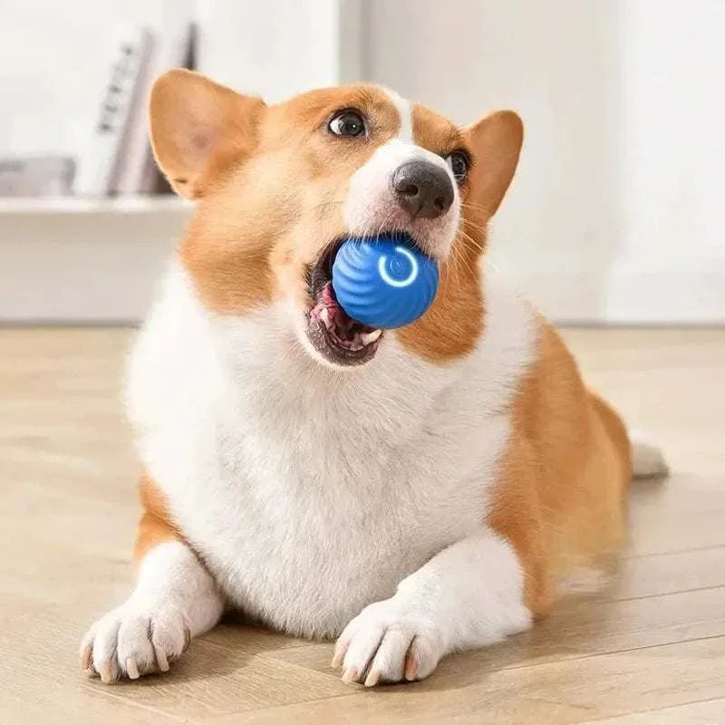 Smart dog toys ball automatic moving pet toy for cats and dogs