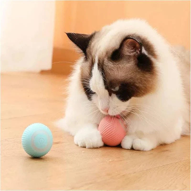 Smart dog toys ball automatic moving pet toy ball in orange and blue colors for cats and dogs