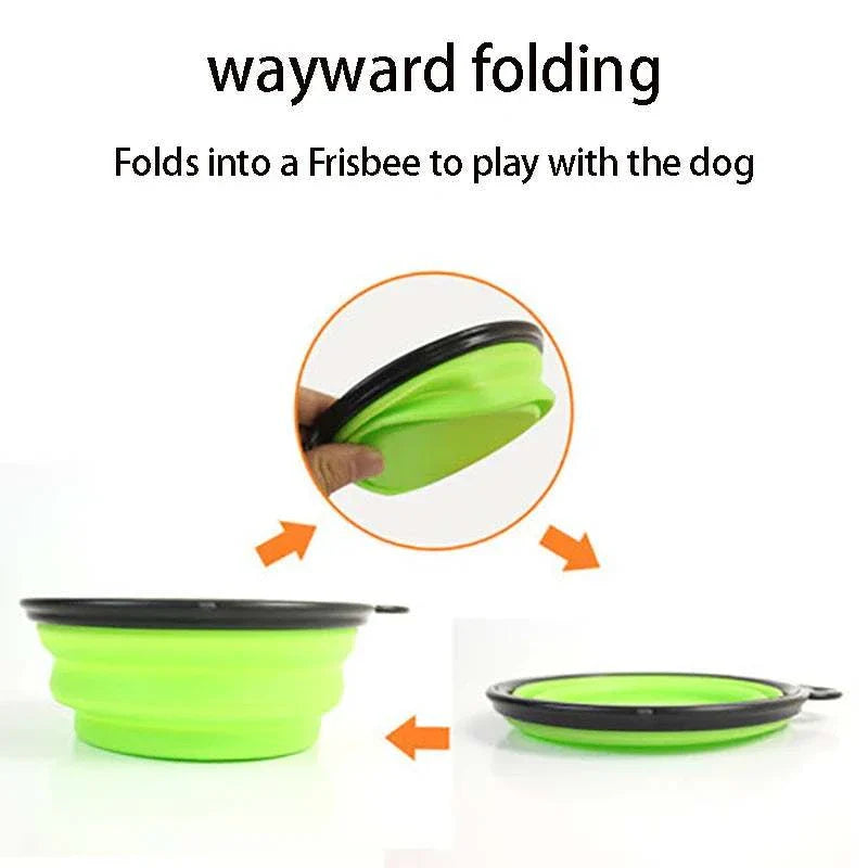 Collapsible green pet dog bowl folding into Frisbee for outdoor use and play