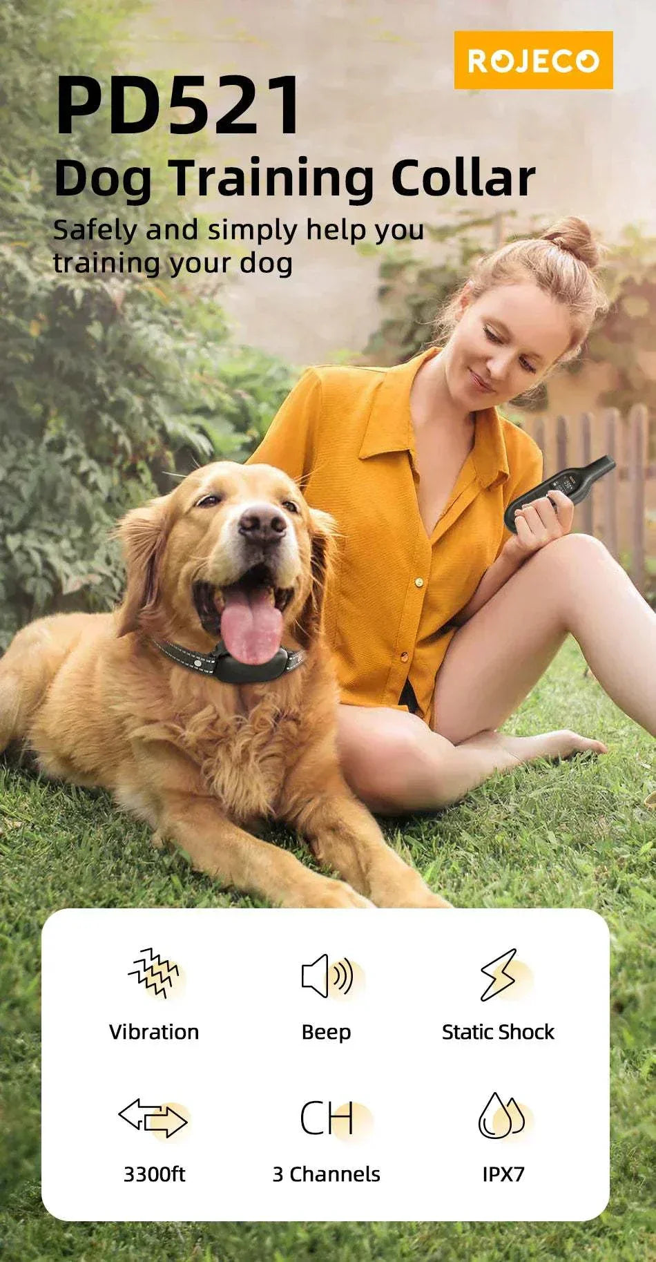 Woman using electric dog training collar with remote to train golden retriever outdoors