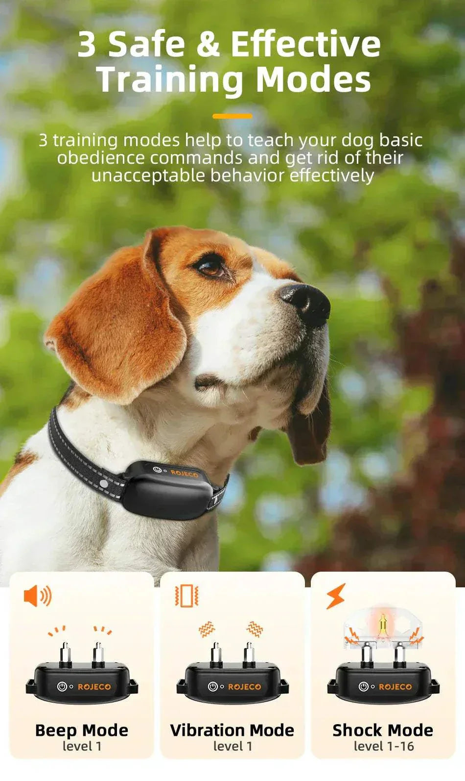Electric dog wearing a rechargeable waterproof training collar with remote control and multiple training modes for obedience and bark control