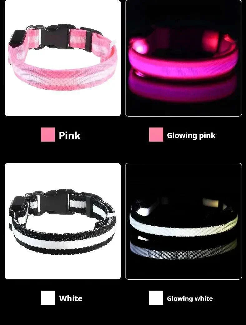 LED glow nylon dog collar for enhanced night visibility and safety Dog Collar Nylon