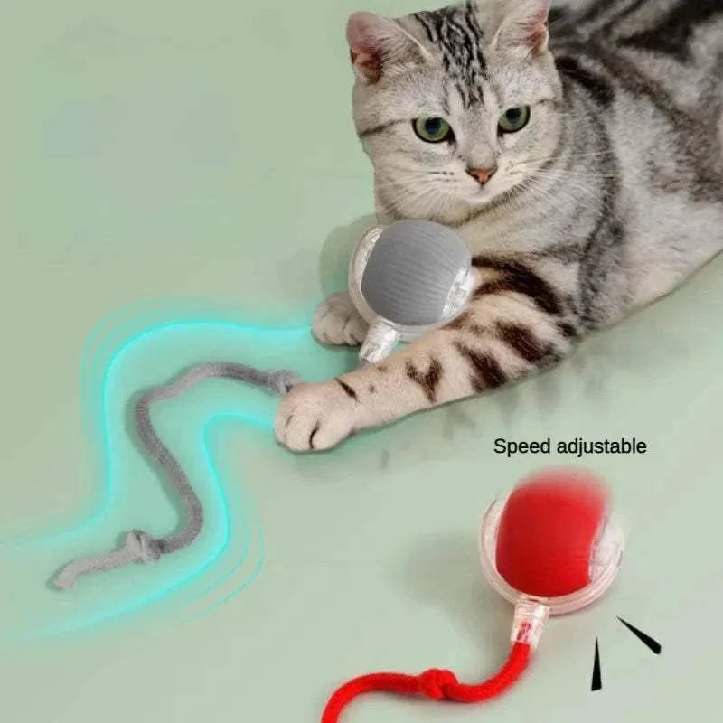 Cat Interactive Ball Toys Cat playing with gray and red automatic rolling balls with attached teaser strings, interactive smart pet toys for kittens.