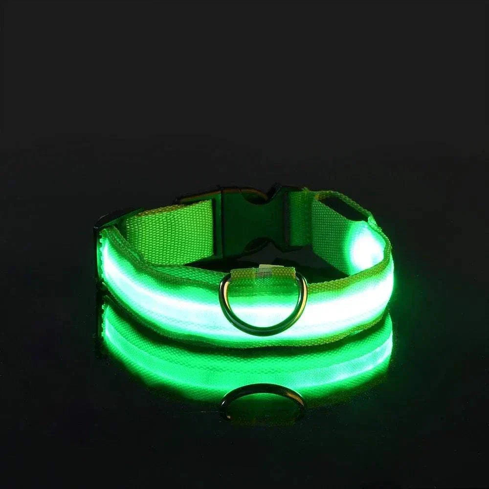 LED glow nylon dog collar with adjustable fit for nighttime safety and enhanced visibility Dog Collar Nylon