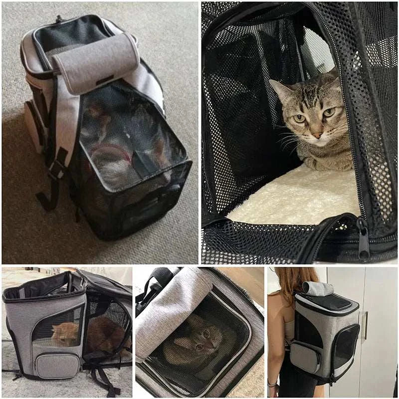 Pet Cat Carrier Backpack
